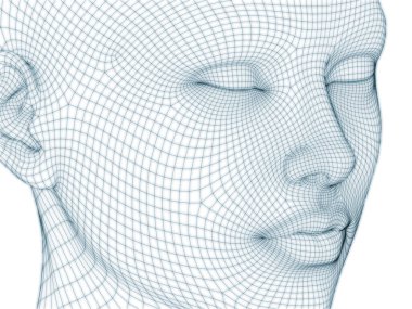 İnsan kafası ve yüzünün üç boyutlu görüntülenmesi illüstrasyon ve tasarım için tel örgüsü olarak kullanılacak