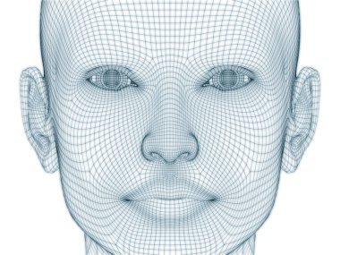 İnsan kafası ve yüzünün üç boyutlu görüntülenmesi illüstrasyon ve tasarım için tel örgüsü olarak kullanılacak