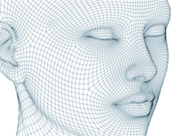 Nsan Kafası Yüzünün Boyutlu Görüntülenmesi Illüstrasyon Tasarım Için Tel Örgüsü — Stok fotoğraf
