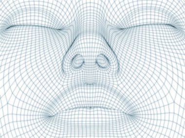 İnsan kafası ve yüzünün üç boyutlu görüntülenmesi illüstrasyon ve tasarım için tel örgüsü olarak kullanılacak