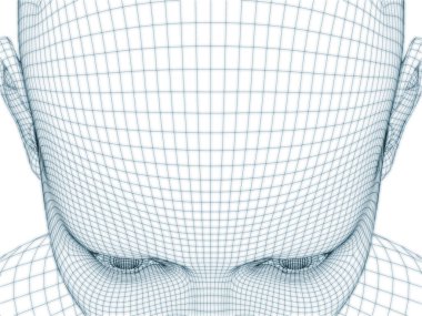 İnsan kafası ve yüzünün üç boyutlu görüntülenmesi illüstrasyon ve tasarım için tel örgüsü olarak kullanılacak