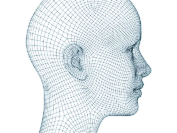 Rendering Human Head Face Wire Mesh Use Illustration Design — Stock Photo, Image