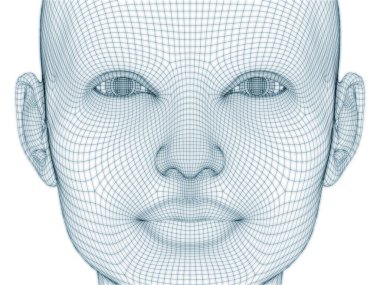 İnsan kafası ve yüzünün üç boyutlu görüntülenmesi illüstrasyon ve tasarım için tel örgüsü olarak kullanılacak