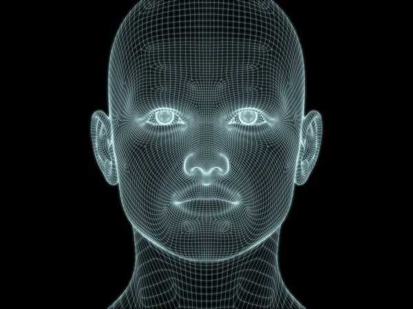 Render Human Head Face Wire Mesh Use Illustrations Technology Education — Stock Photo, Image