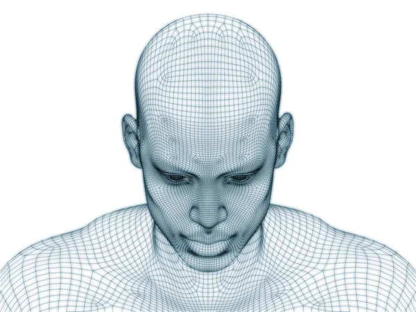 人脸三维绘制为线状网格 用于图解和设计 — 图库照片