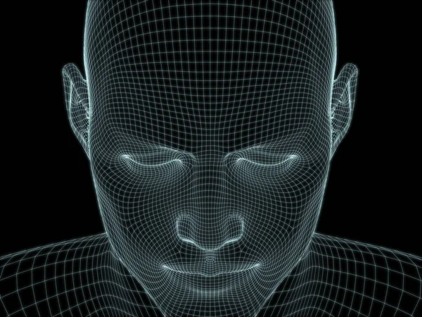 三维人头和人脸在金属丝网中的渲染 用于技术 教育和计算机科学的演示 — 图库照片