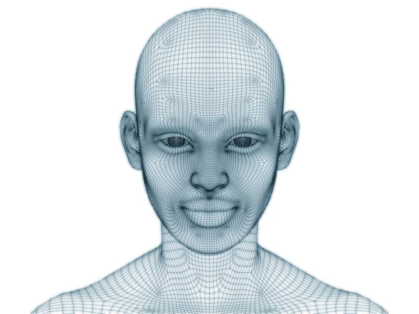 図やデザインで使用するためのワイヤメッシュとしての人間の頭と顔の3Dレンダリング — ストック写真