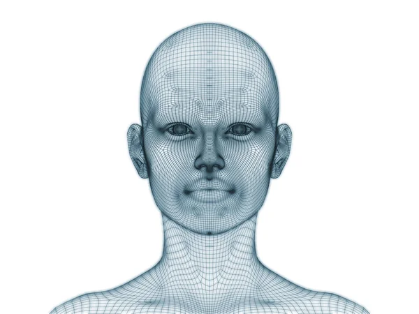 Рендеринг Человеческой Головы Лица Виде Проволочной Сетки Использования Иллюстрации Дизайне — стоковое фото