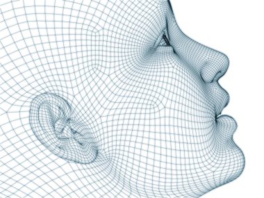 İnsan kafası ve yüzünün üç boyutlu görüntülenmesi illüstrasyon ve tasarım için tel örgüsü olarak kullanılacak