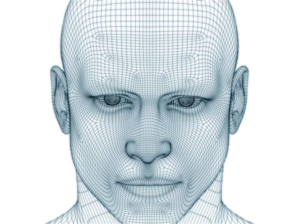 Rendering Von Menschlichem Kopf Und Gesicht Als Drahtgeflecht Für Illustration — Stockfoto