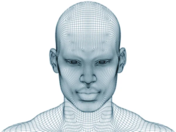 Rendering Human Head Face Wire Mesh Use Illustration Design — Stock Photo, Image