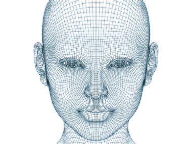 İnsan kafası ve yüzünün üç boyutlu görüntülenmesi illüstrasyon ve tasarım için tel örgüsü olarak kullanılacak