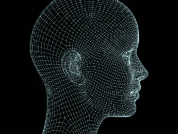 Human Head Close Render Wire Mesh Use Illustrations Technology Education — Stock fotografie