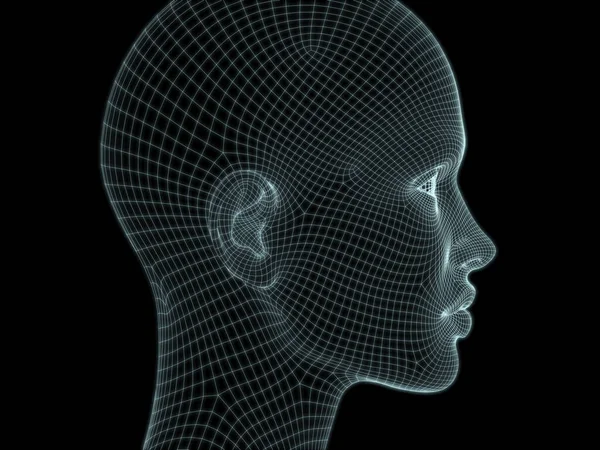 Render Human Head Wire Mesh Zur Verwendung Illustrationen Technologie Bildung — Stockfoto