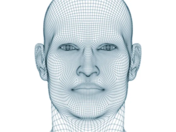 Rendering Von Menschlichem Kopf Und Gesicht Als Drahtgeflecht Für Illustration — Stockfoto