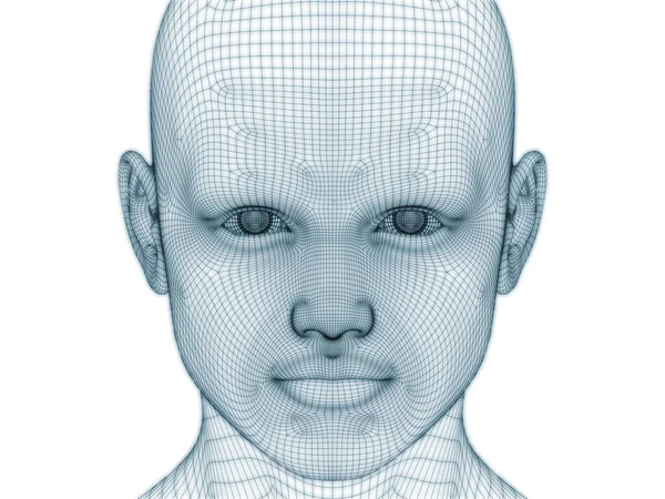 Rendu Tête Humaine Visage Comme Treillis Métallique Pour Une Utilisation — Photo