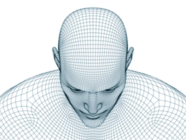 Rendering Human Head Face Wire Mesh Use Illustration Design — Stock Photo, Image
