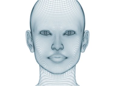 İnsan kafası ve yüzünün üç boyutlu görüntülenmesi illüstrasyon ve tasarım için tel örgüsü olarak kullanılacak