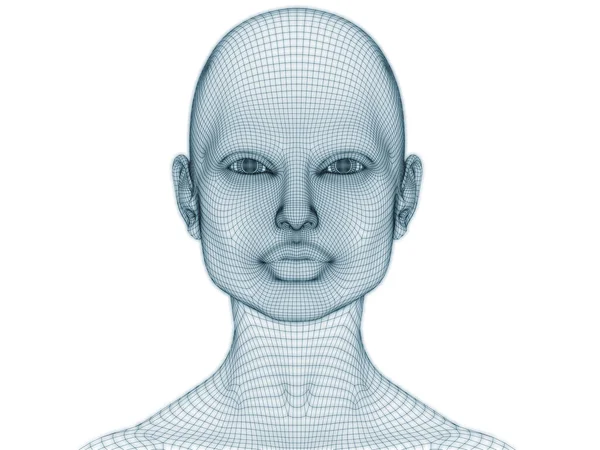 Rendering Von Menschlichem Kopf Und Gesicht Als Drahtgeflecht Für Illustration — Stockfoto