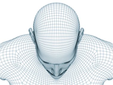 İnsan kafası ve yüzünün üç boyutlu görüntülenmesi illüstrasyon ve tasarım için tel örgüsü olarak kullanılacak