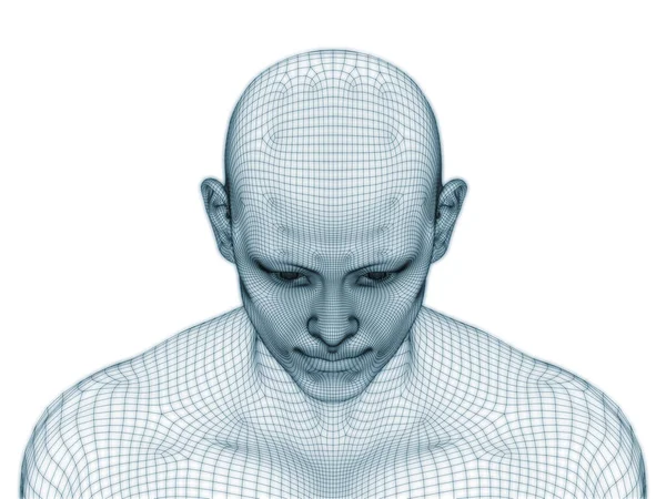 Rendering Human Head Face Wire Mesh Use Illustration Design — Stock Photo, Image