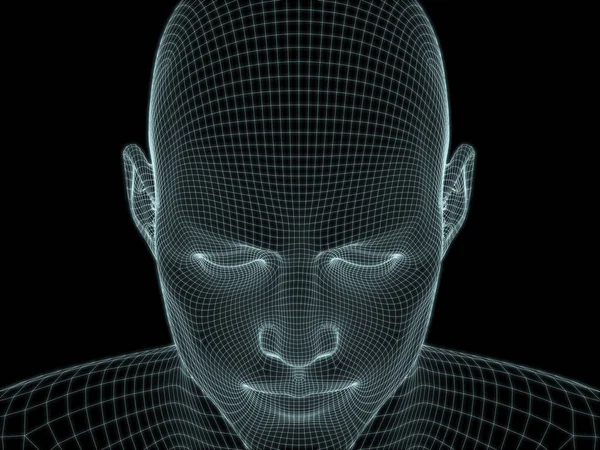 Рендер Головы Лица Человека Сетке Использования Иллюстрациях Технологиям Образованию Информатике — стоковое фото