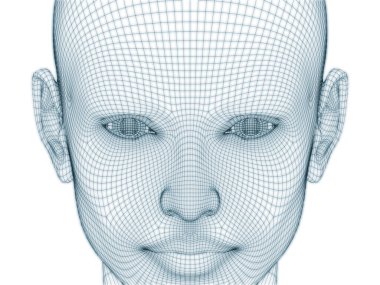 İnsan kafası ve yüzünün üç boyutlu görüntülenmesi illüstrasyon ve tasarım için tel örgüsü olarak kullanılacak