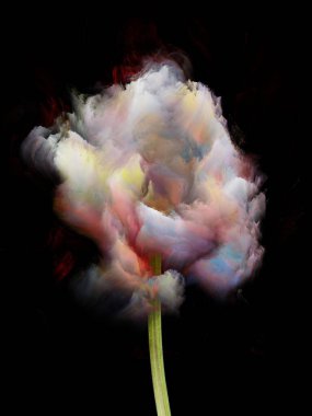 Renk Çiçekleri serisi. Neşe, yaratıcılık ve sanat konularında siyah üzerine fraktal boya bulutları.