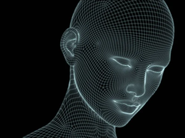 Render Human Head Face Wire Mesh Use Illustrations Technology Education — Stock Photo, Image