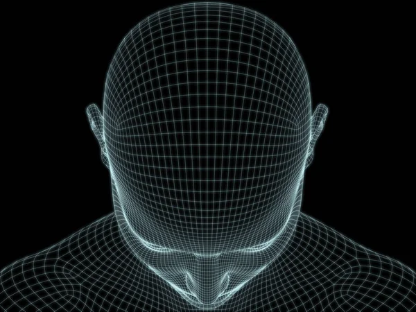 Render Ludzkiej Głowy Twarzy Siatce Drucianej Stosowania Ilustracjach Temat Technologii — Zdjęcie stockowe