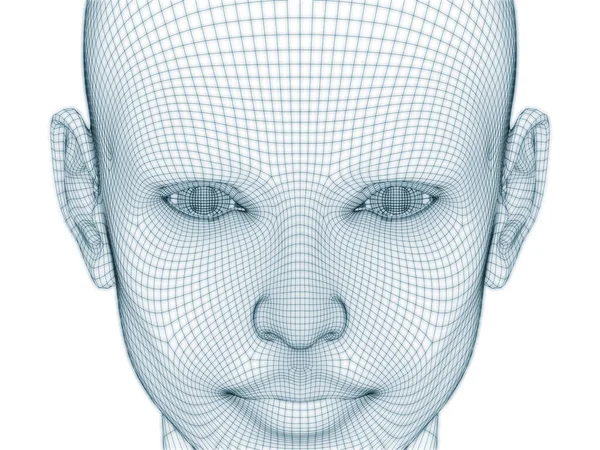 Рендеринг Человеческой Головы Лица Виде Проволочной Сетки Использования Иллюстрации Дизайне — стоковое фото