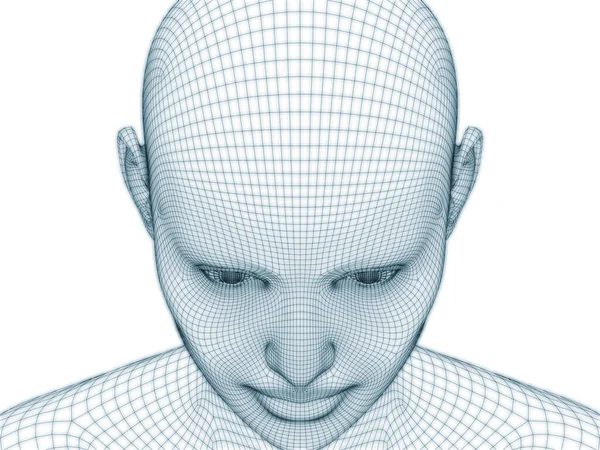 Rendering Human Head Face Wire Mesh Use Illustration Design — Stock Photo, Image