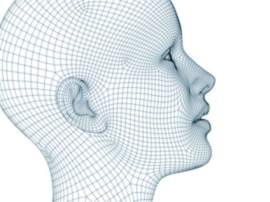 İnsan kafası ve yüzünün üç boyutlu görüntülenmesi illüstrasyon ve tasarım için tel örgüsü olarak kullanılacak
