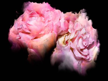 Doğa, Yaz ve Doğal Güzellik konulu çiçek ve boya kombinasyonu.