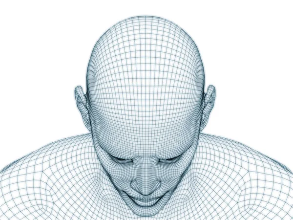 Rendering Human Head Face Wire Mesh Use Illustration Design — Stock Photo, Image