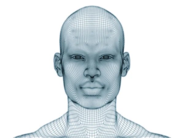 Rendering Human Head Face Wire Mesh Use Illustration Design — Stock Photo, Image