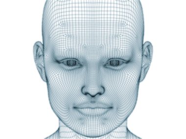 İnsan kafası ve yüzünün üç boyutlu görüntülenmesi illüstrasyon ve tasarım için tel örgüsü olarak kullanılacak