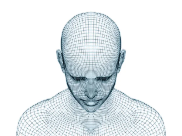 Rendering Human Head Face Wire Mesh Use Illustration Design — Stock Photo, Image