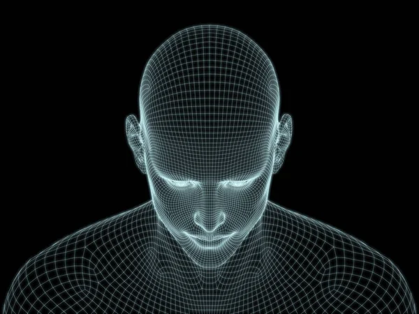 用于技术 教育和计算机科学的线状网格中的人脸特写3D渲染器 — 图库照片