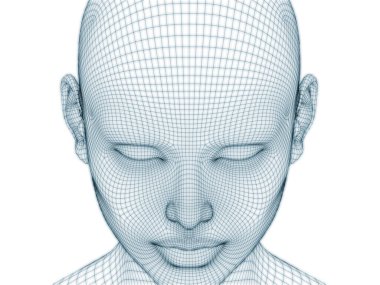 İnsan kafası ve yüzünün üç boyutlu görüntülenmesi illüstrasyon ve tasarım için tel örgüsü olarak kullanılacak