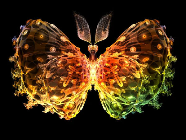 Glow of Butterfly — Stock Photo, Image