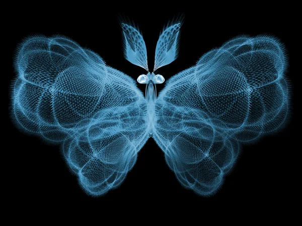 Toward Digital Butterfly — Stock Photo, Image