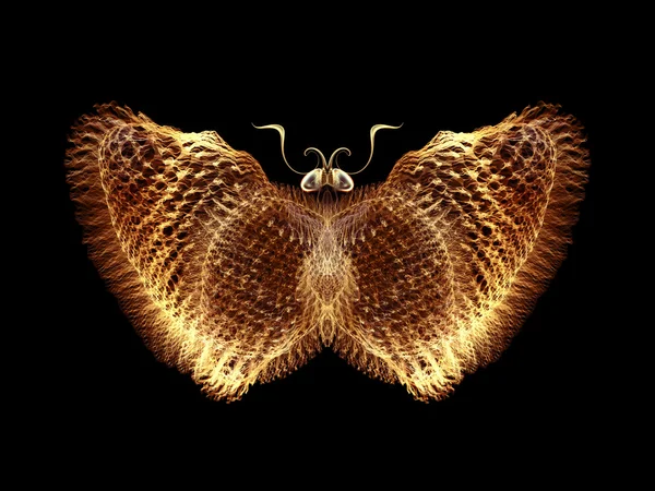 Illusion vom Schmetterling — Stockfoto