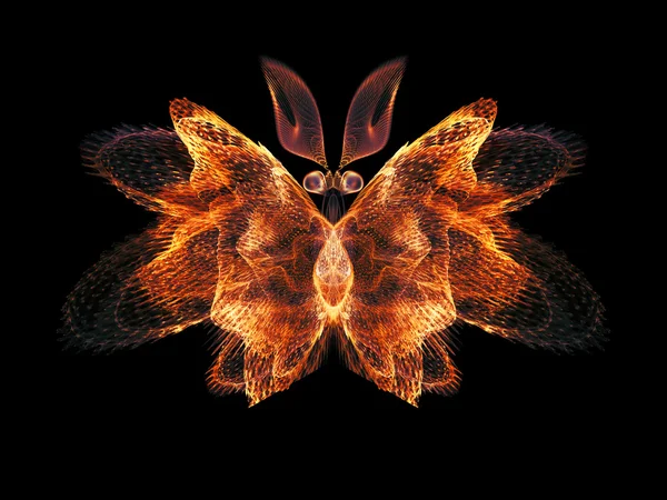 Лепестки бабочки — стоковое фото