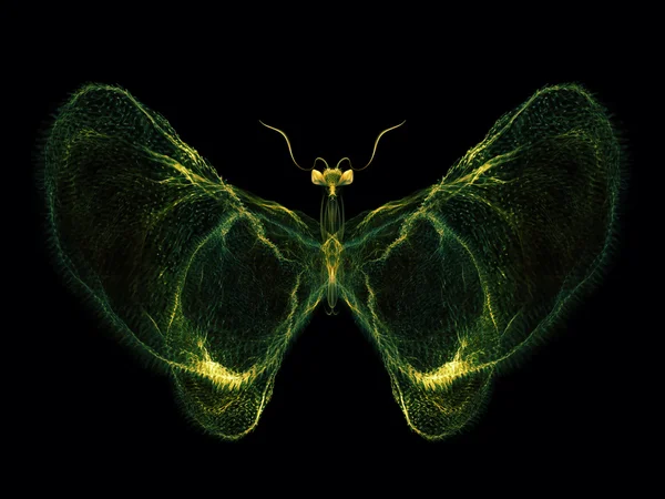 나비 검색 — 스톡 사진