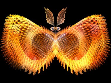 doğru dijital kelebek