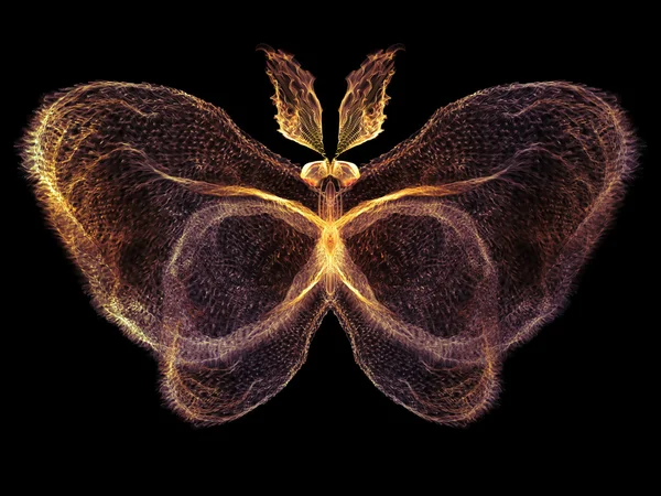 Glow of Butterfly — Stock Photo, Image