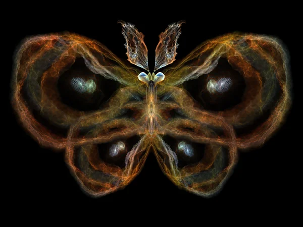 Schmetterlingsglühen — Stockfoto