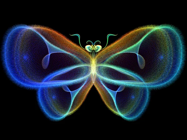 Lights of Butterfly — Stock Photo, Image