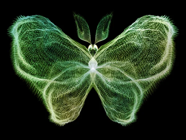 Світіння метелик — стокове фото